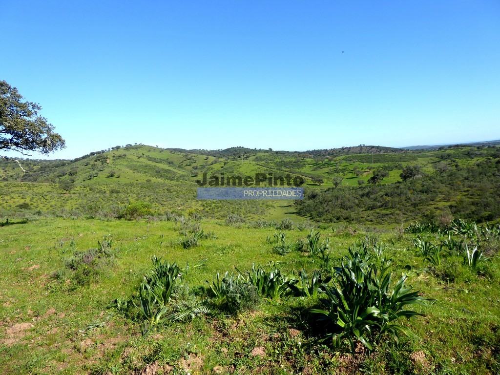 Herdade