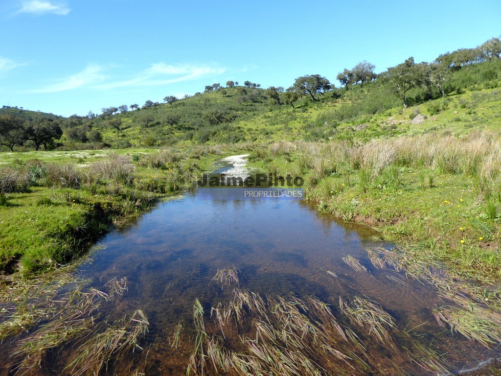 Herdade