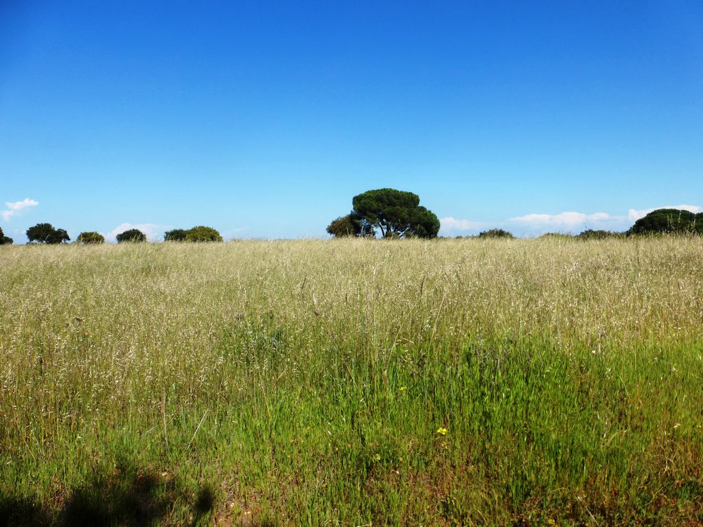 ST - ESTREMOZ