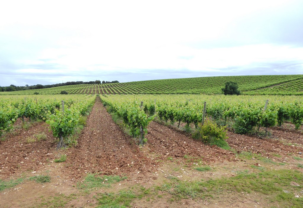 ST - ESTREMOZ