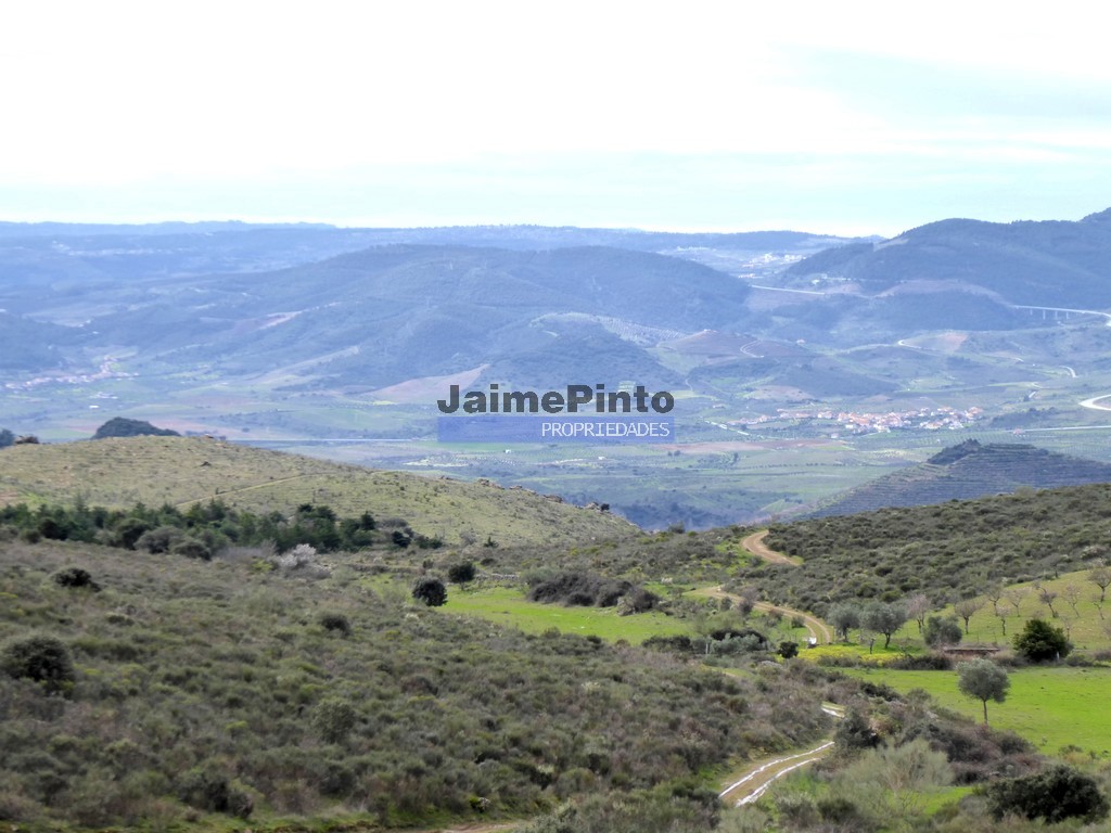 Terreno agricola