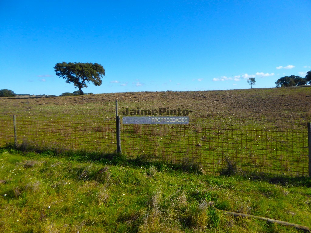 Herdade