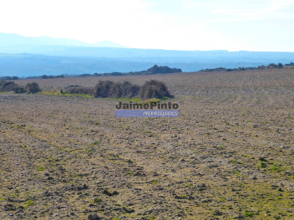 Terreno agricola