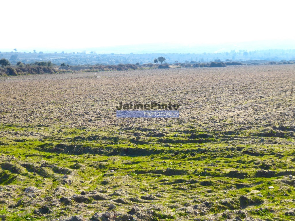 Terreno agricola