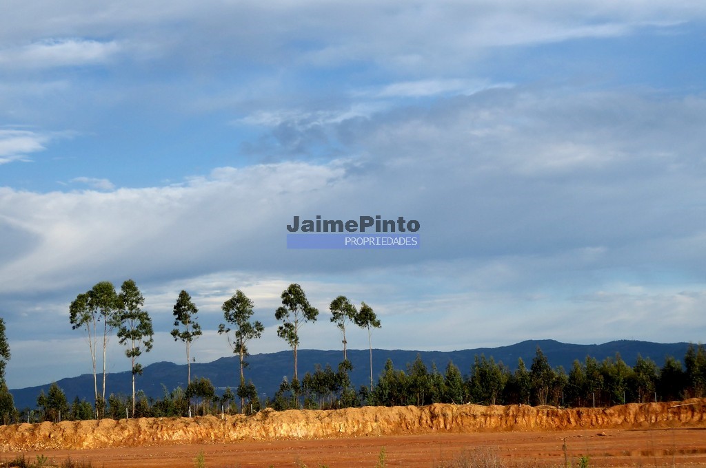 ST - ALBERGARIA-A-VELHA