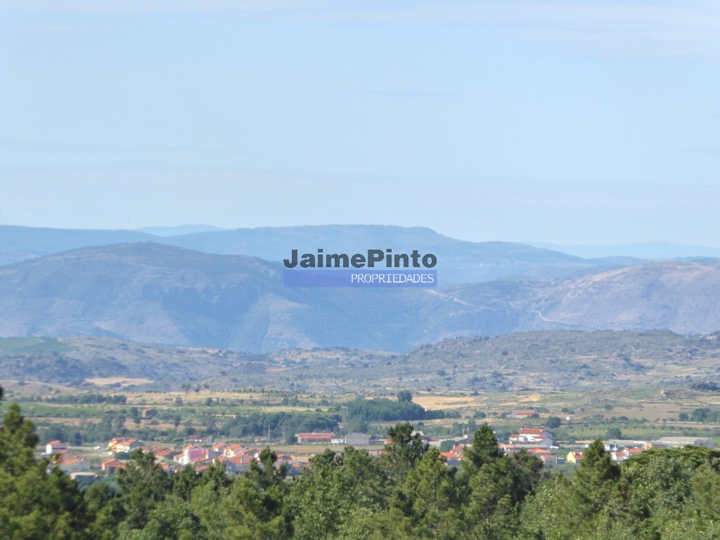 Terreno agricola