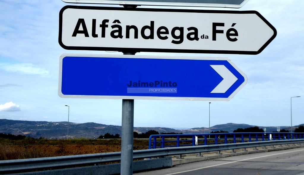 ST - ALFANDEGA DA FE