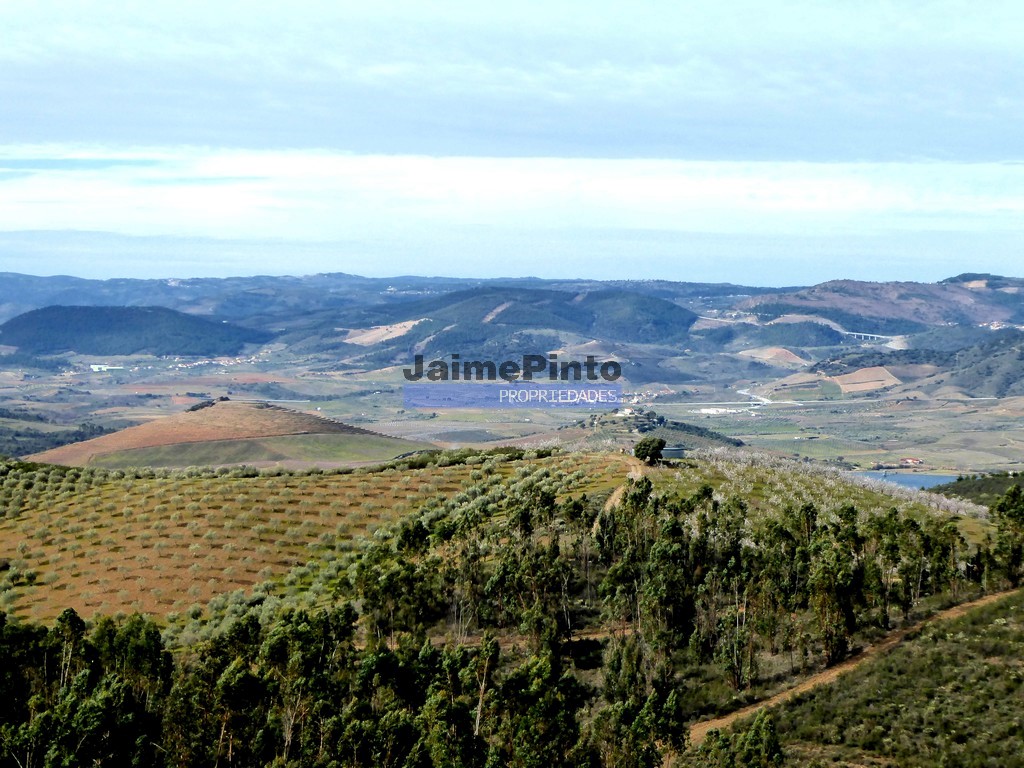 Terreno agricola