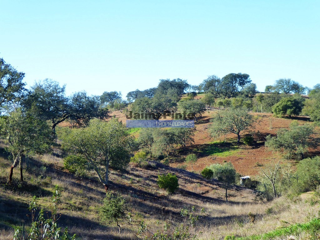 Herdade