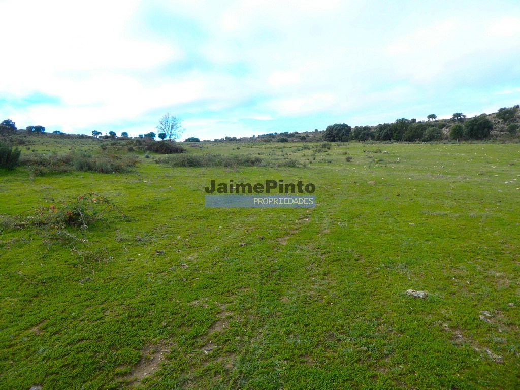 Terreno agricola