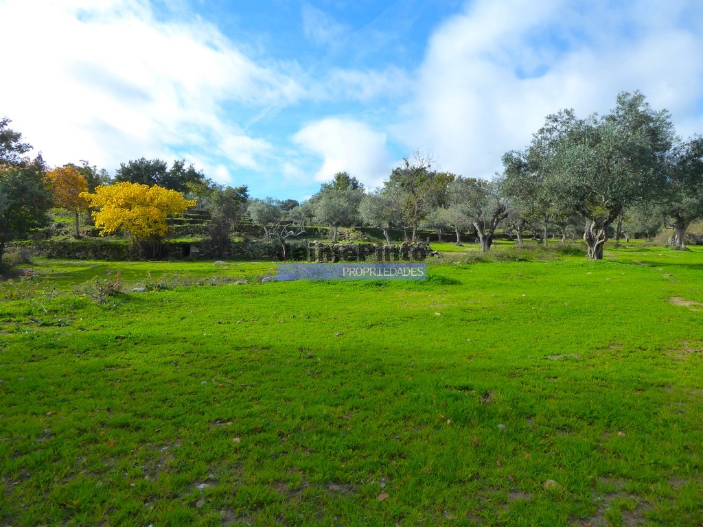 Terreno agricola