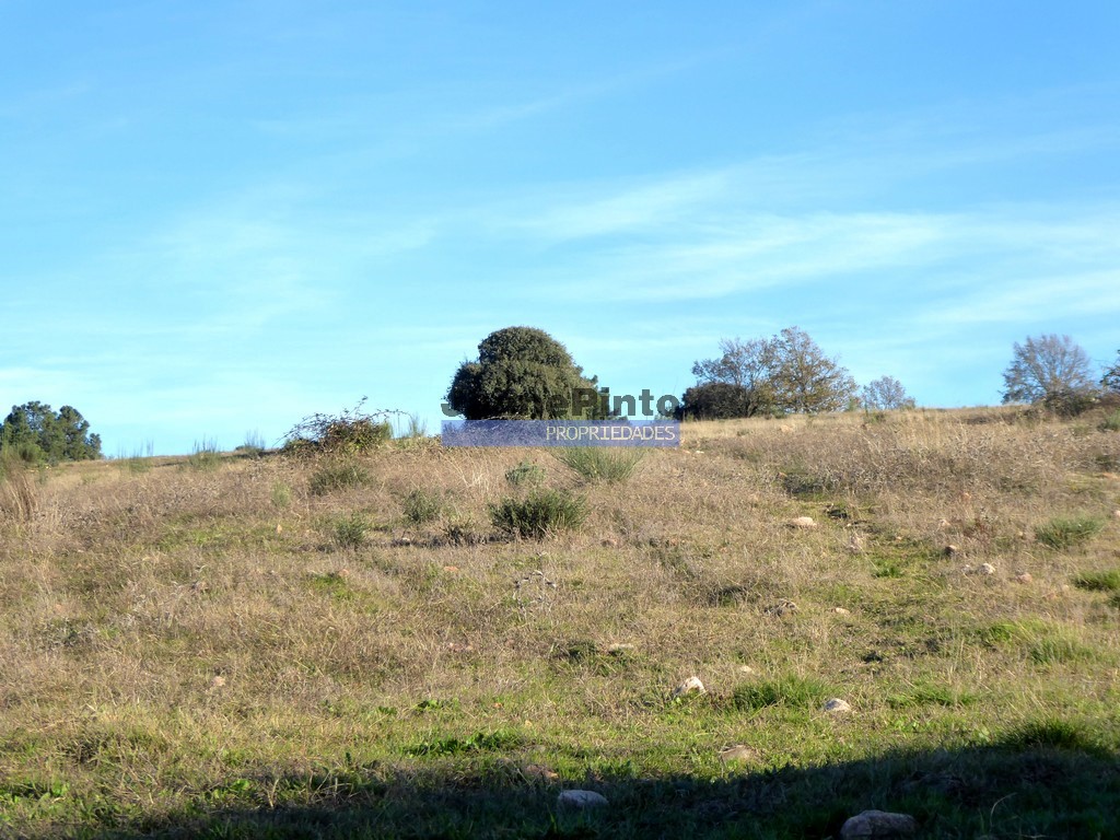 Terreno agricola