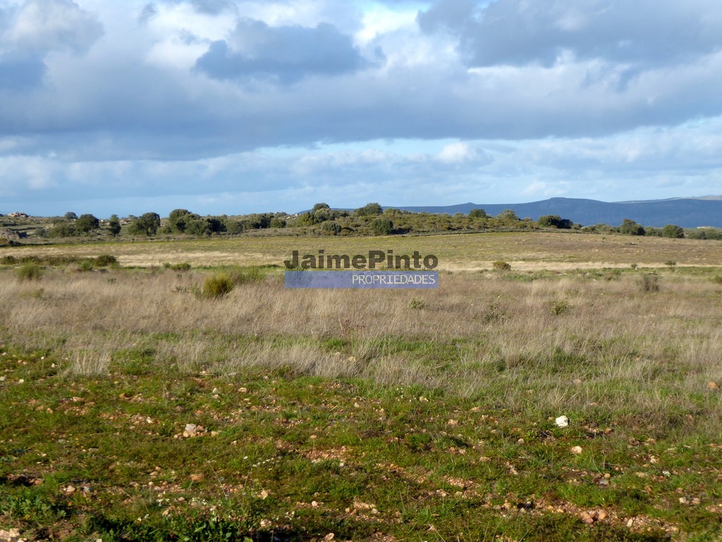 Terreno agricola