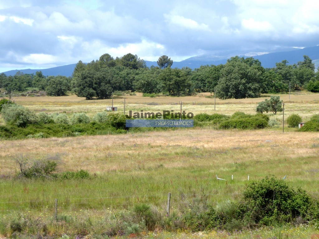 Quinta - ST - BELMONTE