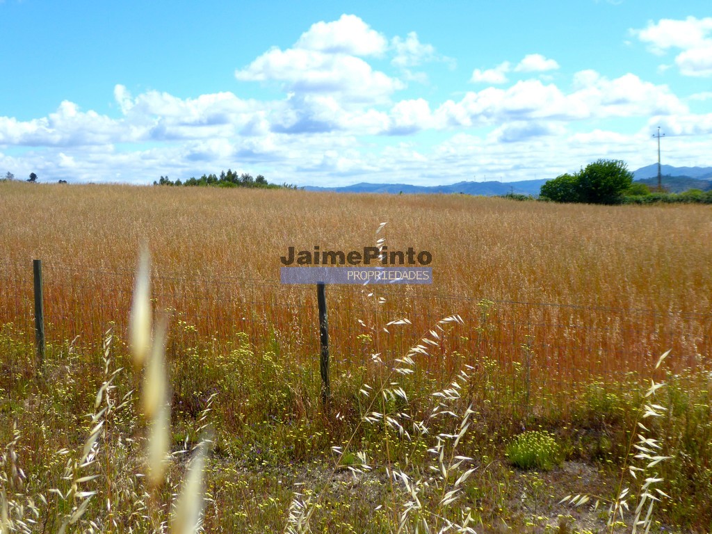 Terreno agricola