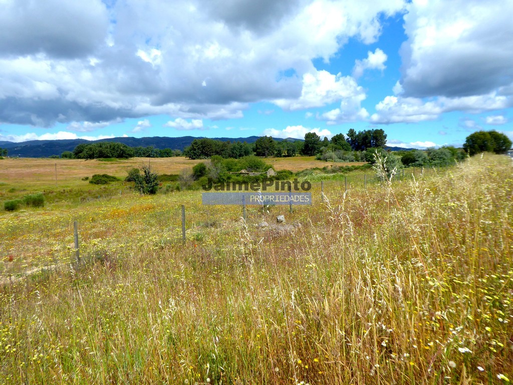 Terreno agricola