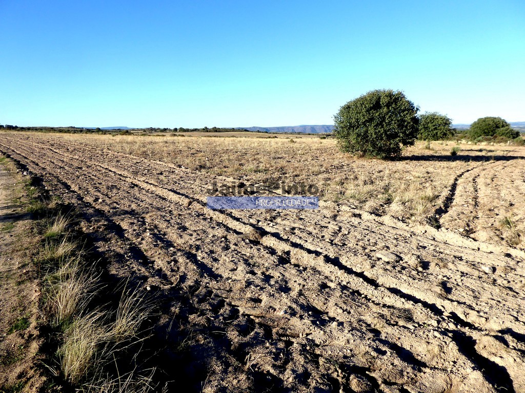 Terreno agricola