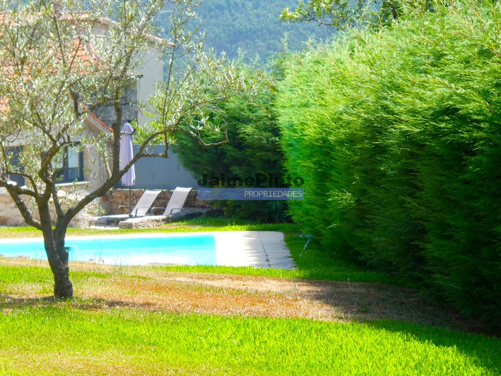 Quinta