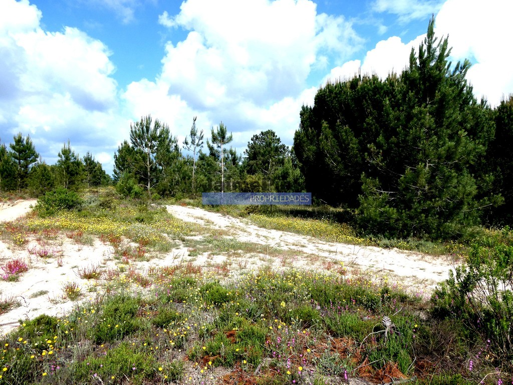 Terreno misto