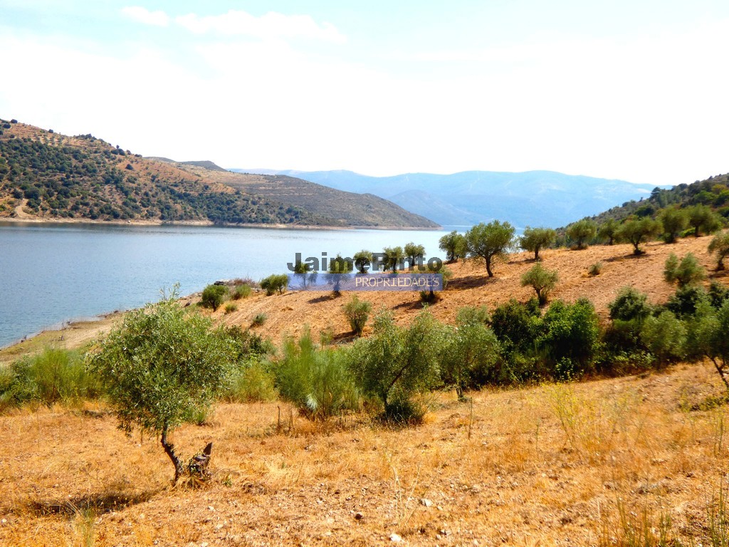 Terreno agricola