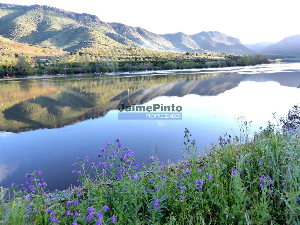 Quinta - >=T6 - VILA NOVA DE FOZ COA