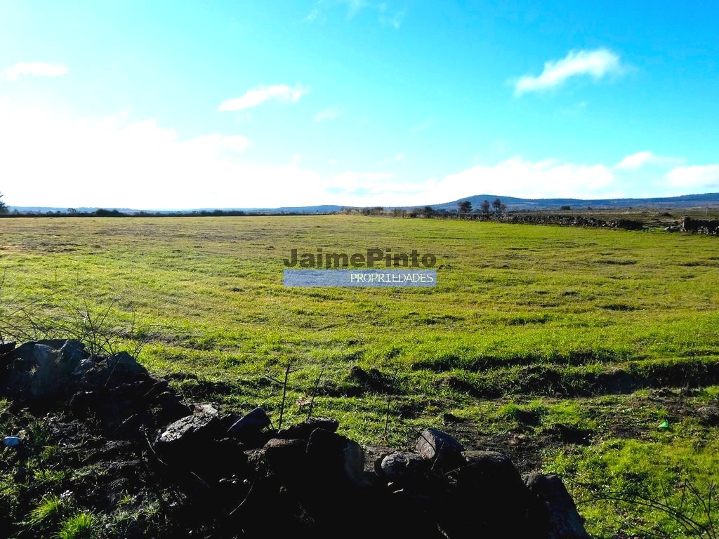 Terreno agricola - ST - FIGUEIRA DE CASTELO RODRIGO